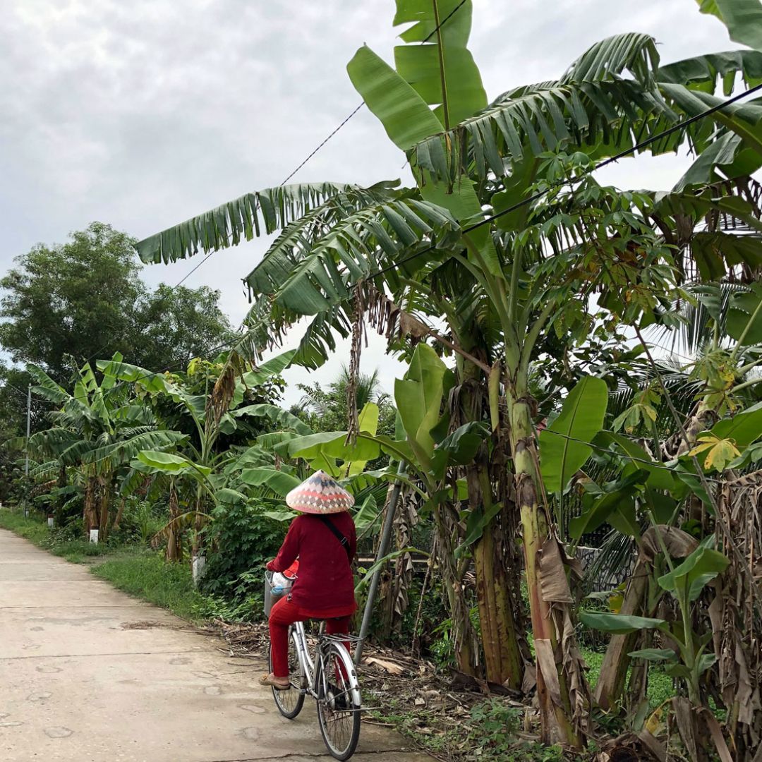 PLACES TO VISIT IN SOUTH VIETNAM